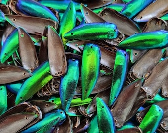 1000 pièces Percé 2 trous irisé vert bleu bijou élytres ailes de scarabée robe de broderie faisant des fournitures de décoration d'art