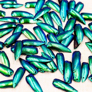 200 Pré-percés 2 trous Iridescence Vert Bleu Bijou Elytra scarabée Ailes dinsectes Broderie Bijoux Robe Fabrication Art Décoration Fourniture image 2