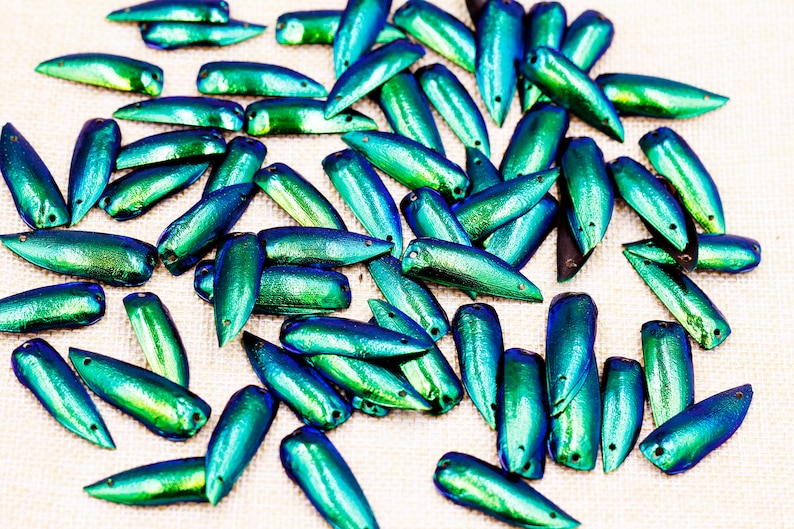 200 Pré-percés 2 trous Iridescence Vert Bleu Bijou Elytra scarabée Ailes dinsectes Broderie Bijoux Robe Fabrication Art Décoration Fourniture image 2