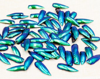 200 Pré-percés 2 trous Iridescence Vert Bleu Bijou Elytra scarabée Ailes d’insectes Broderie Bijoux Robe Fabrication Art Décoration Fourniture