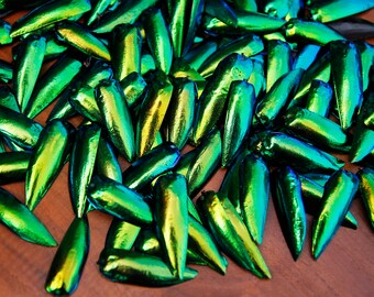 200 Rare Color Green Yellowish Elytra Sternocera aequ Jewel Beetle Insect Wings Bug Shells Jewelry Earrings Craft Supply Fashion Design
