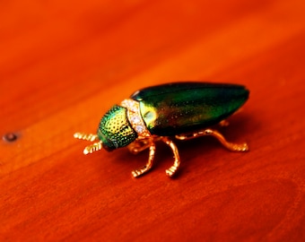 1 pcs Real Iridescent Green Jewel Elytra Beetle Brooch Rhinestone Lady Insect Brooch/Pin Gift Collectible