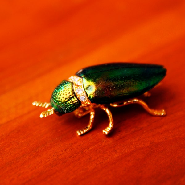 1 pcs Real Iridescent Green Jewel Elytra Beetle Brooch Strass Lady Insect Brooch / Pin Gift Collectible
