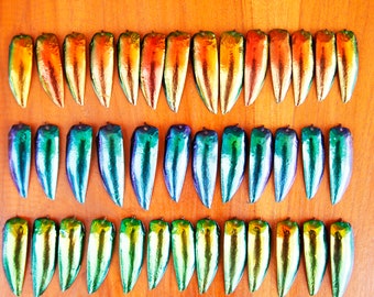 150 Drilled/Undrilled Green Blue Copper Red 50 each 3 colors Jewel Beetle Elytra Wings Craft Necklace Jewelry making Art Supply