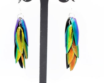 Bright Iridescent Rainbow Emerald Green Blue Golden Red Jewel Elytra Beetle Wings Drop Dangle  Earrings Elegant Colorful of Nature