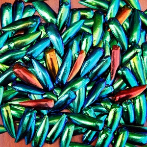 Puede incluir: Una colección de alas de escarabajo iridiscentes en tonos de verde, azul y rojo. Las alas están dispuestas en un patrón aleatorio, creando una superficie visualmente atractiva y texturizada.