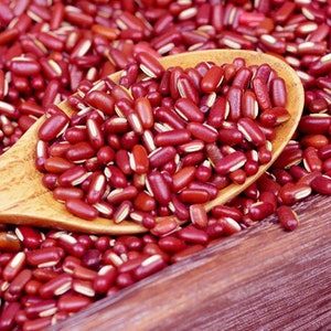 Dried Rice Bean Semen Phaseoli Vigna Umbellata High Quality image 8