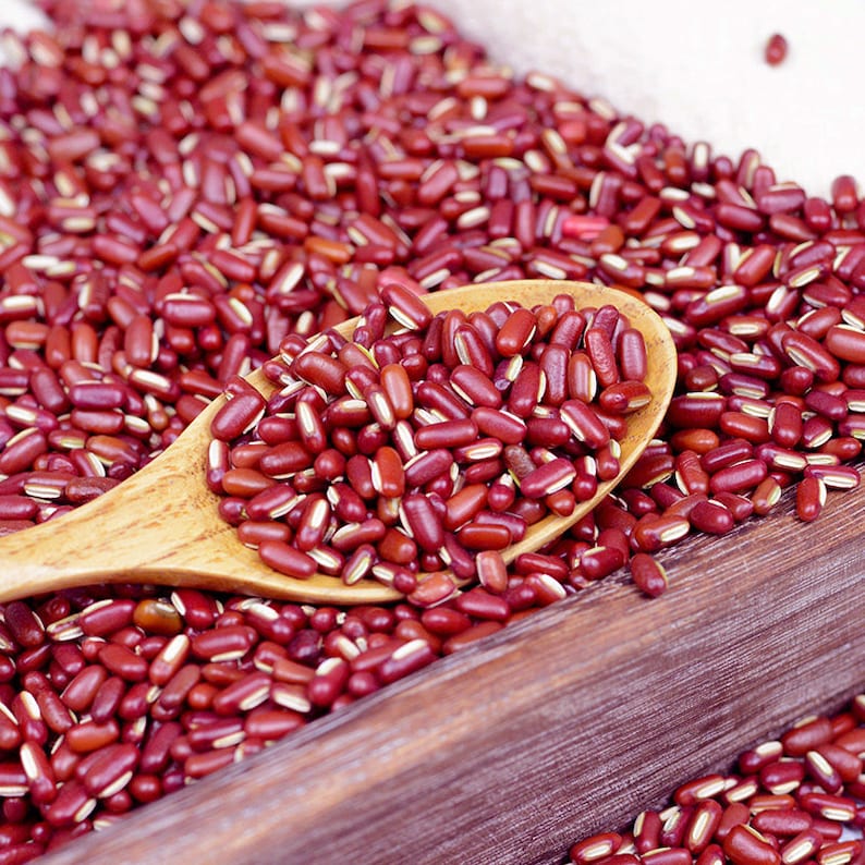 Dried Rice Bean Semen Phaseoli Vigna Umbellata High Quality image 1