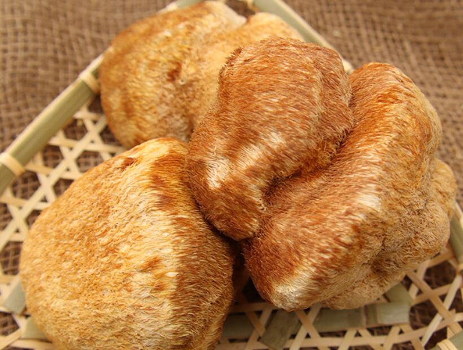 Dried Lion's Mane Mushroom Premium Hericium Etsy