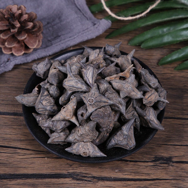 Organic Herba Water Caltrop Trapa Bispinosa Ling Jiao Great Quality