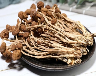 Suszone grzyby herbaciane Czysty naturalny Agrocybe Aegerita Świetna jakość