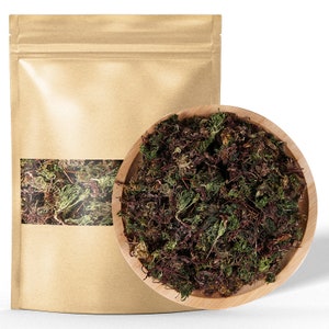 Organic Large Leaf Moss Dried Herb Rhodobryum Roseum Makes A Healthy Tea Hui Xin Cao image 4