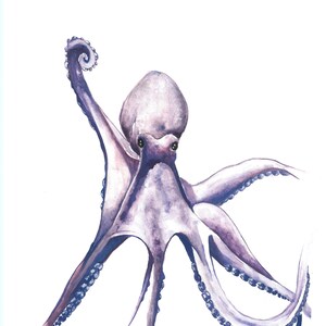 Purple Octopus