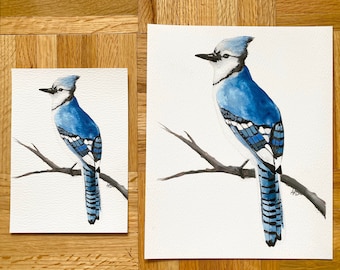 Blue Jay Watercolor Giclee Prints 2 different sizes