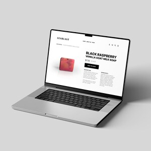 Custom Website Design and Development - Wordpress, Shopify, Framer & More image 5