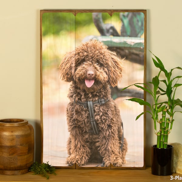 Pet Photo Gifts In Memory Of Dog In Loving Memory Loss Of Dog Loss Gift Pet Memorial Gift For Pet Loss Pet Memorial Gift Dog Pet Grieving