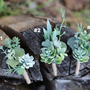 Boho succulent boutonniere, Greenery feather buttonhole, Groom or groomsmen boutonniere set, Succulent wedding flowers