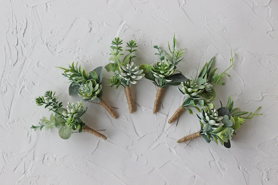 planting bromeliads in pots Bromeliad Garden  Interior Foliage Design