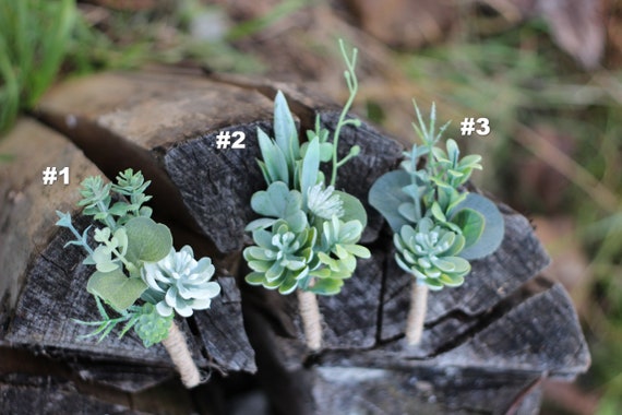 Boho Succulent Boutonniere, Greenery Feather Buttonhole, Groom or Groomsmen  Boutonniere Set, Succulent Wedding Flowers - Etsy
