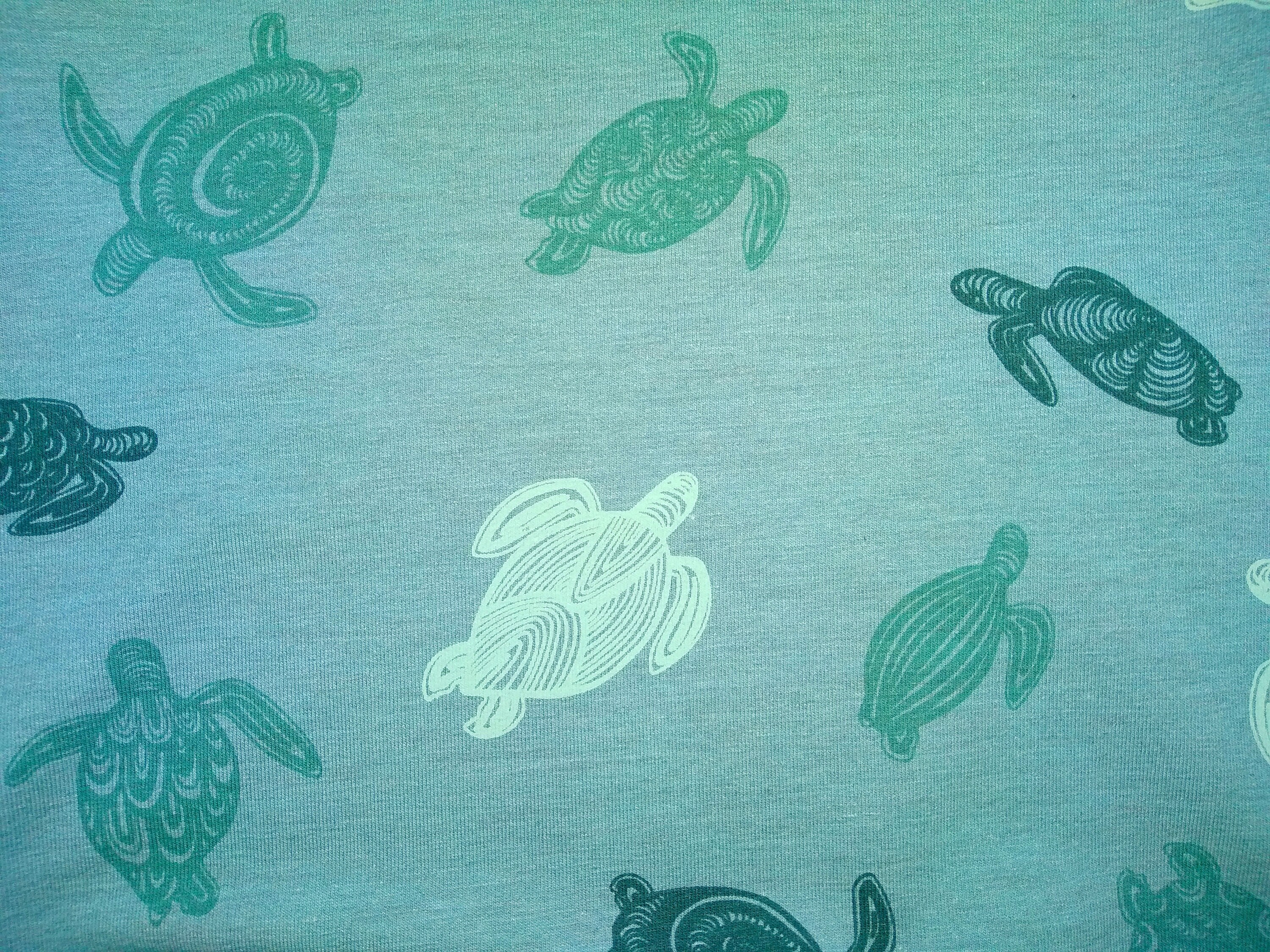 Organic turtle sweatshirt Baby boy turtle sweater Toddler Etsy