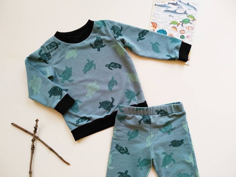 Organic turtle sweatshirt Baby boy turtle sweater Toddler Etsy