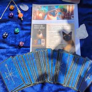 コンサルテーション Oracle Personalisée avec un Message Spirituel et avec Analyze Numérologique et Carte Illustrée PDF