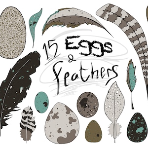 Feder Clipart, Boho Clipart, Vogel Clipart, Digital Clipart Set, Digitale Clipart, Sofort Download