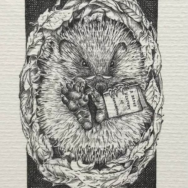 Hedgehog Print - "Hetty Hibernates"