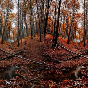30 Rainy Fall Lightroom Presets Desktop & Mobile Moody and Deep Autumn ...