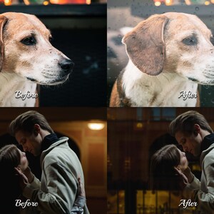 75 Glass Photoshop Overlays to elevate your photography. The glassy Texture pack includes Raindrops, Light Effects, Urban Reflection, Waterdrops, City Bokeh, Water Splatter, Frosted Glass, and Window Backdrop.