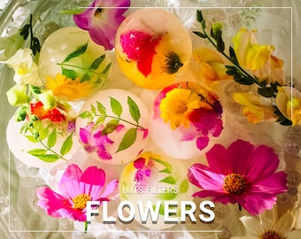 LUTs de vídeo para flores: Corrección de color vibrante (Guía en PDF)