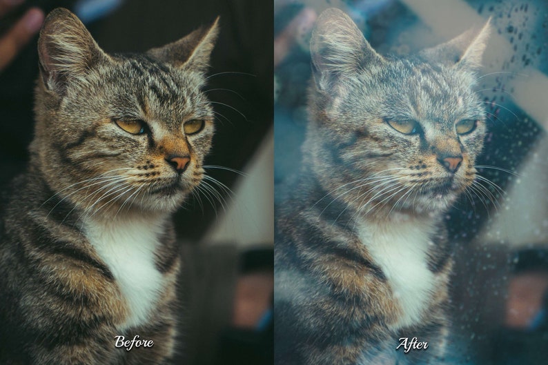 75 Glass Photoshop Overlays to elevate your photography. The glassy Texture pack includes Raindrops, Light Effects, Urban Reflection, Waterdrops, City Bokeh, Water Splatter, Frosted Glass, and Window Backdrop.