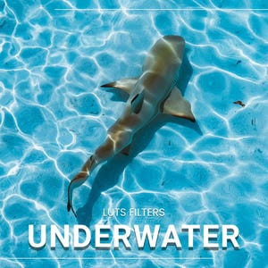 May include: A gray shark swims in clear blue water with a rippling surface. The text "LUTS FILTERS UNDERWATER" is at the bottom of the image.