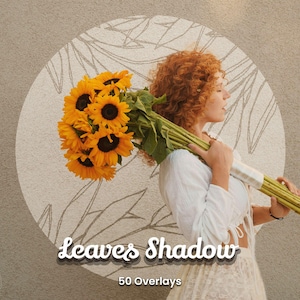 Puede incluir: Una mujer sostiene un gran ramo de girasoles. Los girasoles son de color amarillo brillante con centros marrones oscuros. La imagen tiene el texto "Leaves Shadow" y "50 Overlays".