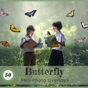 Butterfly Photoshop Editing PNG Overlays Digital Backdrops Backgrounds Natural Flying Colorful Fantasy Magic Fairy butterflies Photography