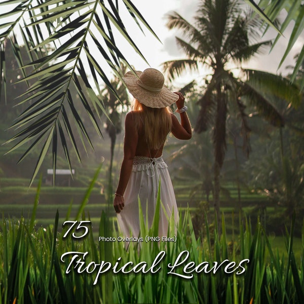 75 Tropical Leaves Overlays for Photoshop, Green Branches, Grass Overlay, Palm Leaf Backdrop, Nature Texture, Indoor Plants Background image