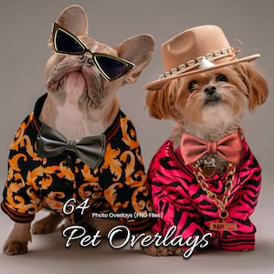 64 superposiciones de mascotas: ¡agregue accesorios divertidos PNG a la fotografía de su mascota! Perfecto para fondos de gatos, fondos digitales de perros y retratos de mascotas reales