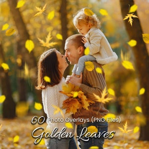 60 Golden Autumn Leaves Overlays, Falling Leaf High-Res PNGs for Nature, Portraits, Family, Couples, Holiday, Children & Fall Photography
