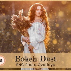 Bokeh Dust Photoshop Overlays Digital Art Backdrop Backgrounds Photography Sparkle Sunlight Haze Golden Floating Glitter PNG Download Files