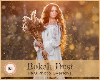 Bokeh Dust Photoshop Overlays Digitale Kunst Achtergrond Achtergronden Fotografie Sparkle Zonlicht Haze Gouden Zwevende Glitter PNG Downloadbestanden