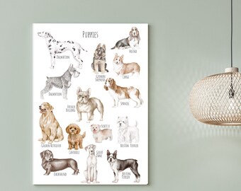 Puede incluir: Una ilustración de acuarela de diferentes razas de perros, incluyendo un dálmata, un pastor alemán, un corgi, y más. La ilustración se titula "Puppies" y está impresa sobre un fondo blanco.