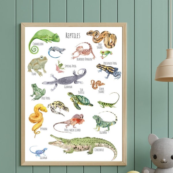 Reptiles, A3 Poster - a beautiful selection of gorgeous + unique Reptiles  - **digital download only**