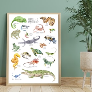 Reptiles and Amphibians, A3 Poster - a beautiful selection of gorgeous + unique Reptiles and Amphibians  - **digital download only**