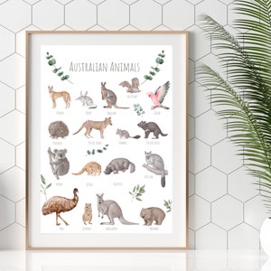 Póster de animales australianos A3 - una hermosa selección de animales australianos magníficos y únicos - **sólo descarga digital**