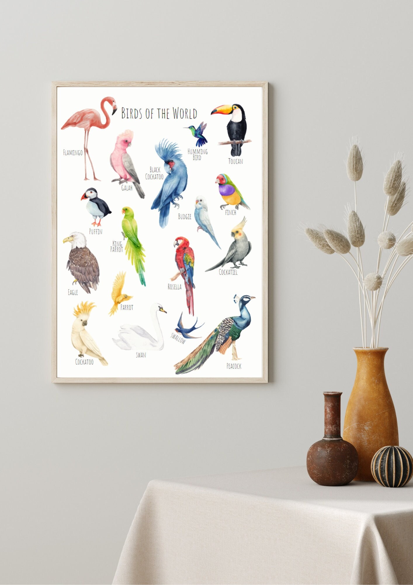 Birds of the World, Poster A3 - a Beautiful Selection of Gorgeous
