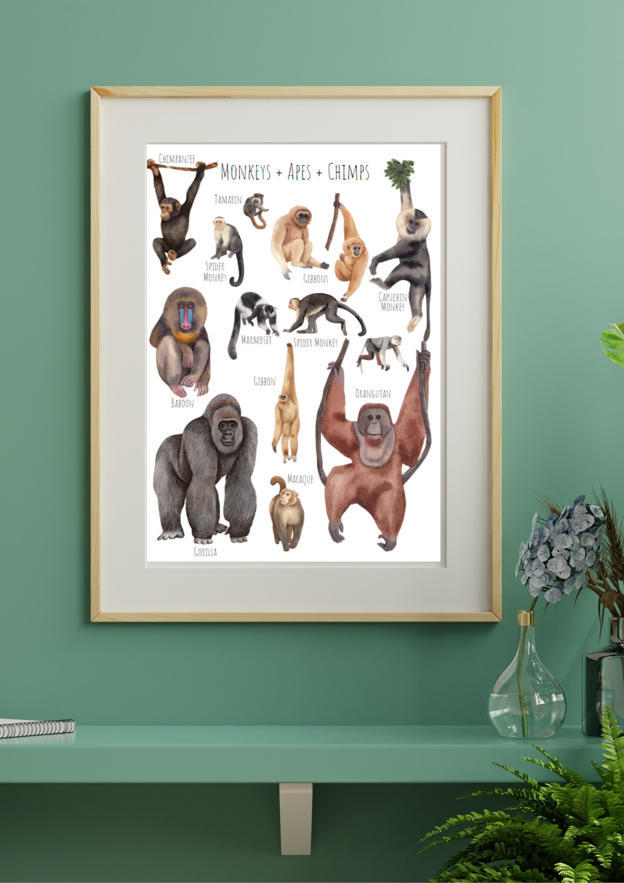 Monkey, Ape, Chimpanzee A3 Poster, Primate Print (digital Download
