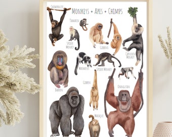 Monkey, Ape, Chimpanzee A3 Poster, Primate Print (Digital Download)