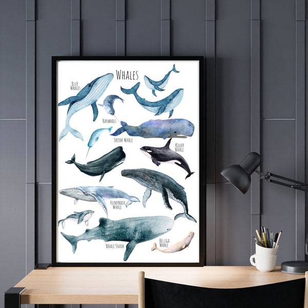 Whales, A3 Poster - a beautiful selection of gorgeous + unique Whales from around the world  - **digital download only**