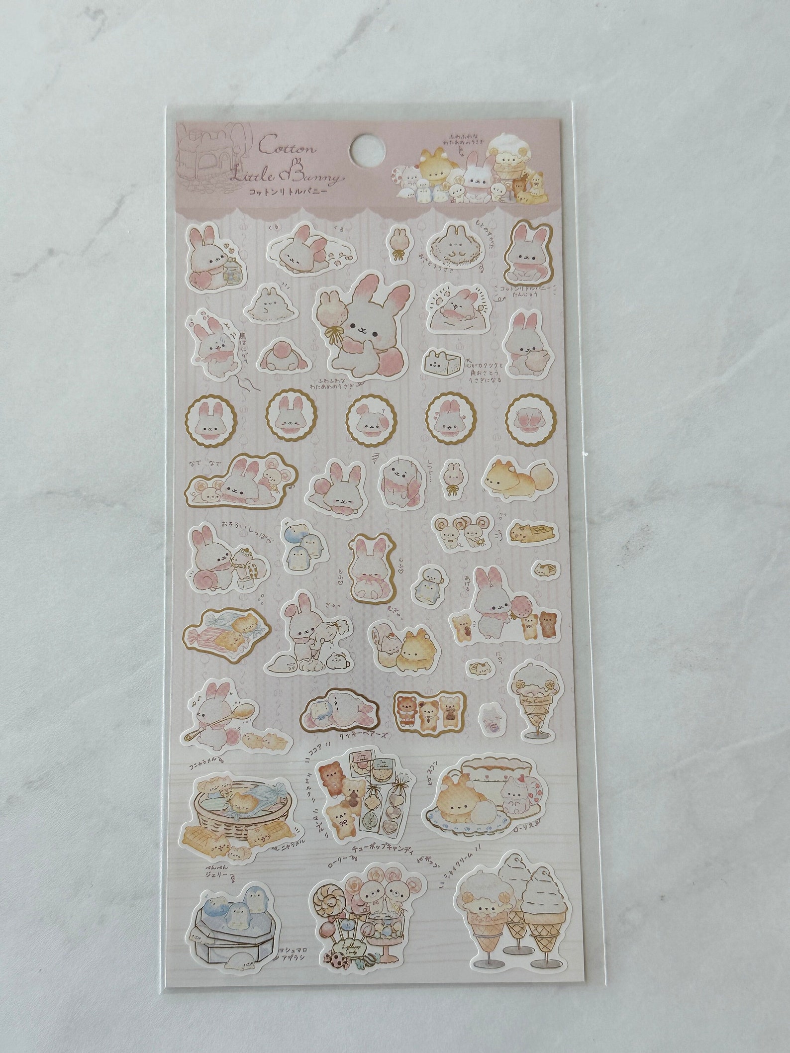 A54 2023 Sticker Sheet Bunny - Etsy