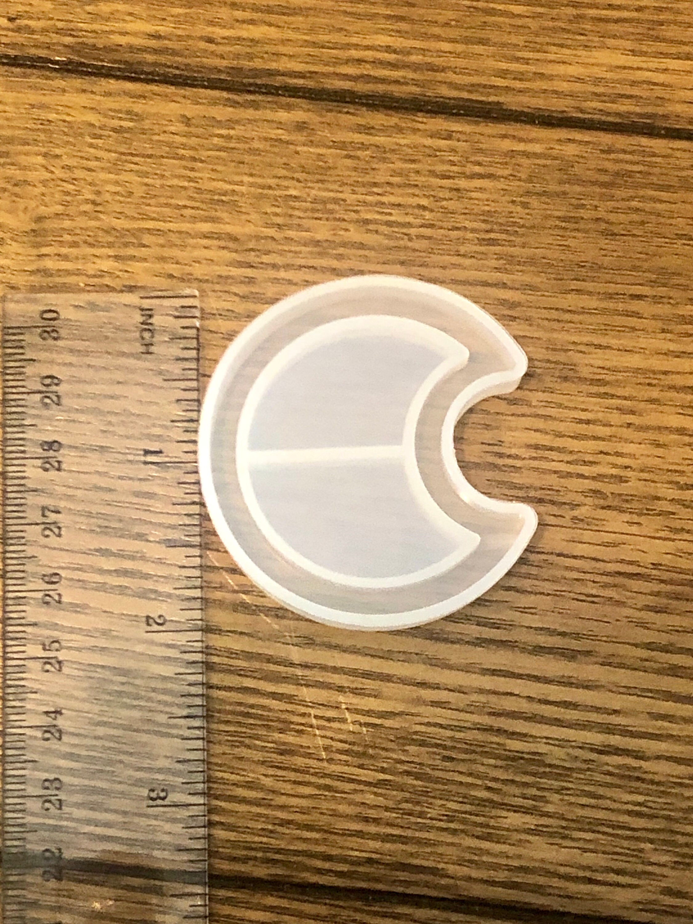 x Moon shaker silicone mold / precut transparency sheets